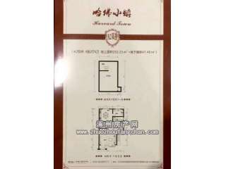 ����С�(zh��n)