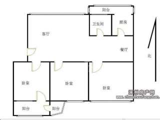 �����´�