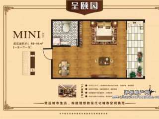 MINI���� 40-46ƽ 1��1�d1�l(w��i) 