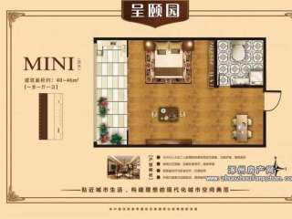 MINI���� 40-46ƽ 1��1�d1�l(w��i)