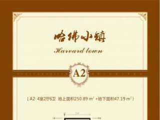 A2���� 4��2�d6�l(w��i)