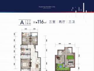 A���S���� 116ƽ 3��2�d3�l(w��i)