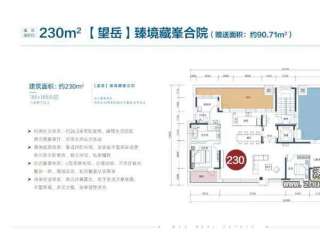 230ƽ 6��2�d4�l(w��i)