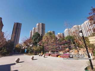 ��(sh��)���D