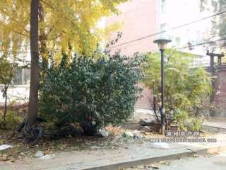 �r(n��ng)������С�^(q��)