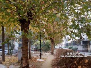 �r(n��ng)������С�^(q��)