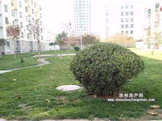 ���ƏS�Ҍ�Ժ