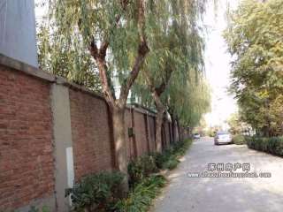 �y�����@