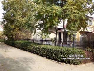 �y�����@