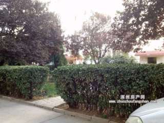 �y��С�^(q��)