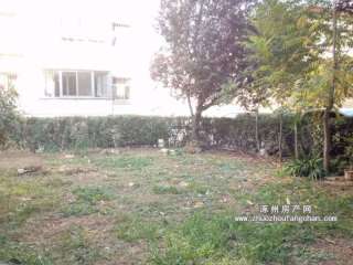 �y��С�^(q��)