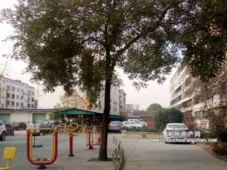 ؔ(c��i)���ּҌ�Ժ