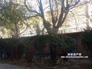 ��늏S�Ҍ�Ժ