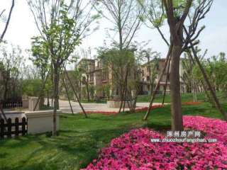 �������ߠ���e��