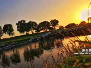 �����U�ͳ�