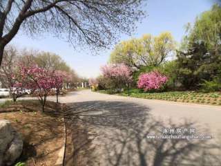 �����U�ͳ�