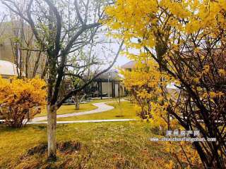 �����U�ͳ�