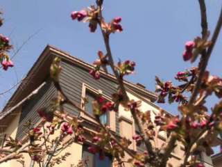 �����U�ͳ�