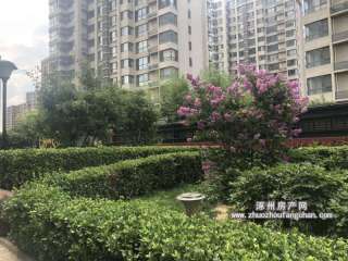 �����׸�(���񻨈@)