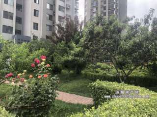 �����׸�(���񻨈@)