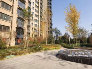 ��(r��n)׿�삐��