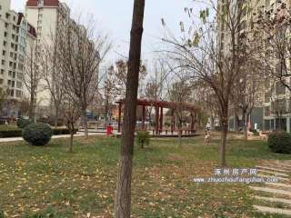 ����(�ÿ��|�^(q��))