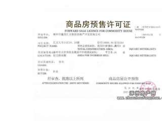 �A(y��)���S���C