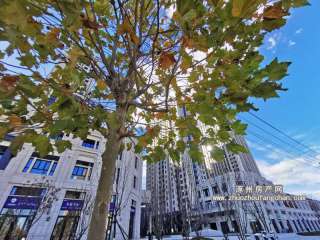 �i�����ﾩ��