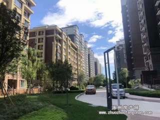 ����³ǆ���