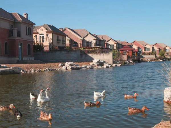 �����Dˮ��